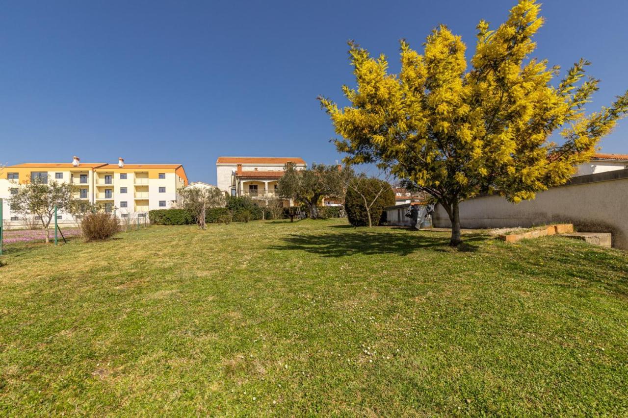 Apartment Cohar *