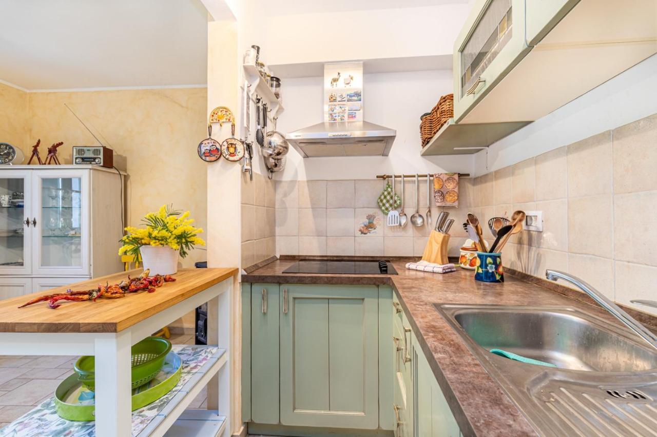 Apartment Cohar