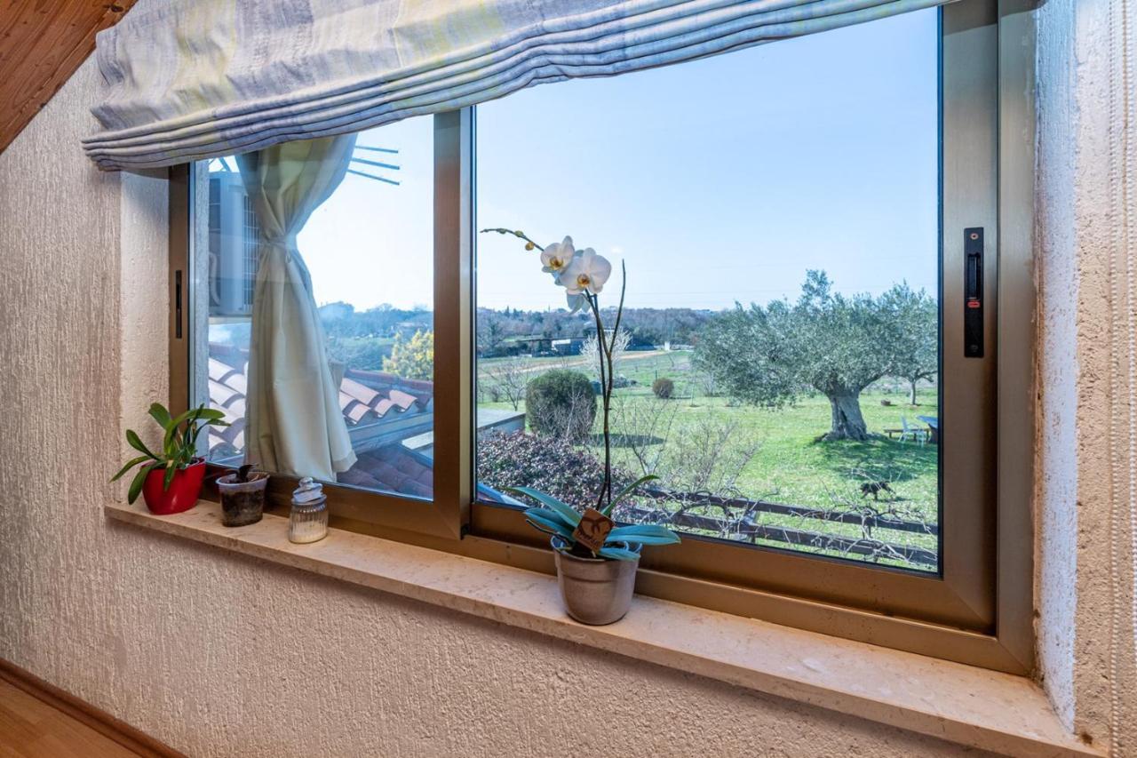 Apartment Cohar Rovinj